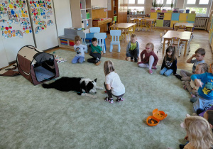 Dogoterapia