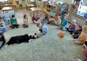 Dogoterapia