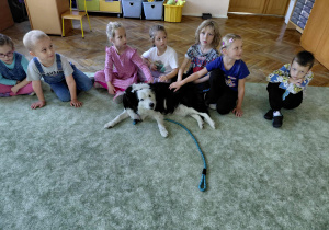 Dogoterapia