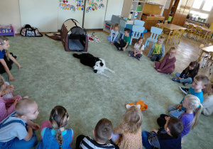 Dogoterapia