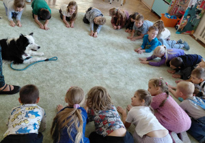 Dogoterapia