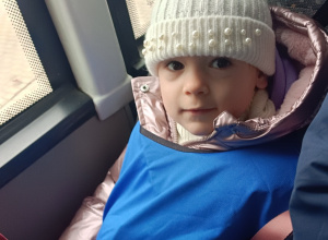 Spotkanie z alpakami