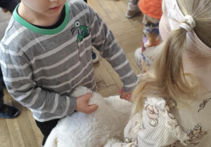 Kropelki świętują Dzień Misia