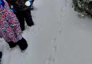 Zabawy na śniegu