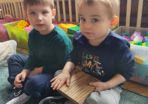 Chłopcy oglądają drewno zebrowe.