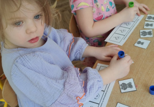 Układamy misie od największego do najmniejszego