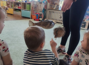 Warsztaty Podwodny Świat
