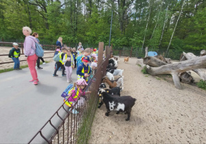 Wycieczka