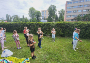 Lody, lody dla ochłody!