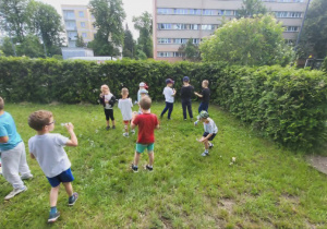Lody, lody dla ochłody!