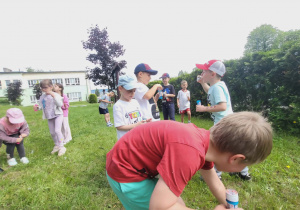 Lody, lody dla ochłody!