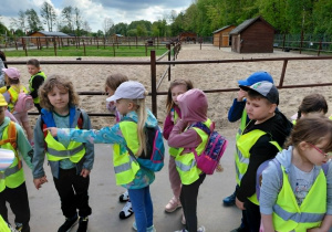 Dobronianka