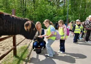 Dobronianka