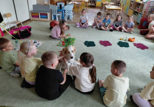 Dogoterapia