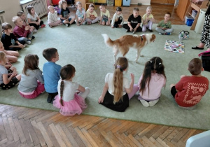 Dogoterapia
