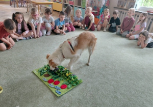 Dogoterapia