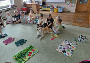 Dogoterapia