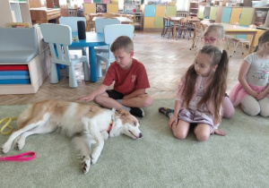 Dogoterapia