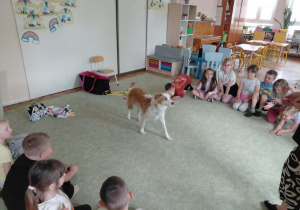 Dogoterapia