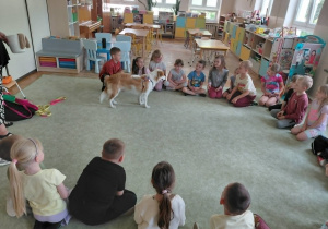 Dogoterapia