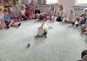 Dogoterapia