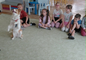 Dogoterapia