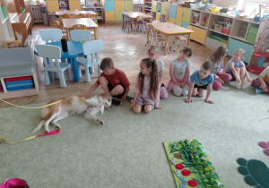 Dogoterapia