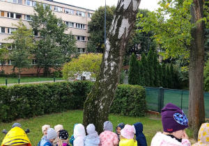 Poznawanie drzew zmysłami