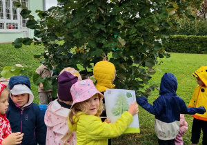 Porównywanie i szukanie omawianych drzew
