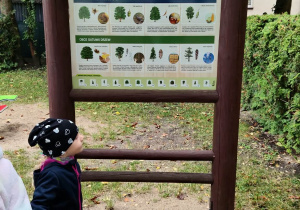 Omówienie tablicy edukacyjnej w ogrodzie przedszkolnym