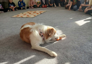 Dogoterapia: „Merdanie na powitanie”