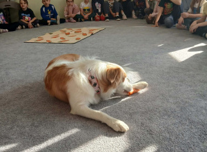 Dogoterapia: „Merdanie na powitanie”