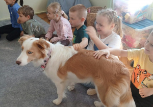 Dogoterapia: „Merdanie na powitanie”