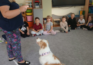 Dogoterapia: „Merdanie na powitanie”