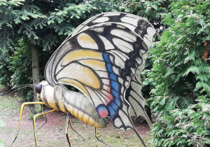 przywitał nas motyl