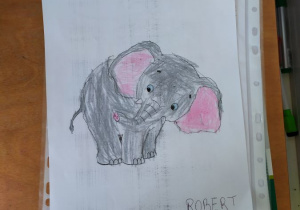 Słoń Robert