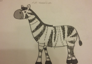 Zebra Ala U.