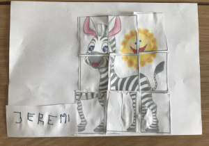 Zebra Jeremi