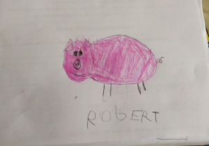 Świnka Robert